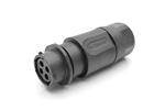 RTS1BS10N4S03 圆形连接器 RTS1BS10N4S03 圆形连接器