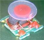 MABA-009210-CT1760 音频信号变压器 MABA-009210-CT1760 音频信号变压器
