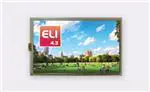 ELI43-CP 显示模块 ELI43-CP 显示模块