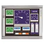 P6171PG-24VDC-V2 显示模块