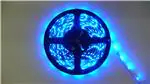 12V-NB-BLU-01M LED灯泡与模块 12V-NB-BLU-01M LED灯泡与模块